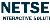 logo netsec