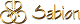 Logo-Sabion-v4